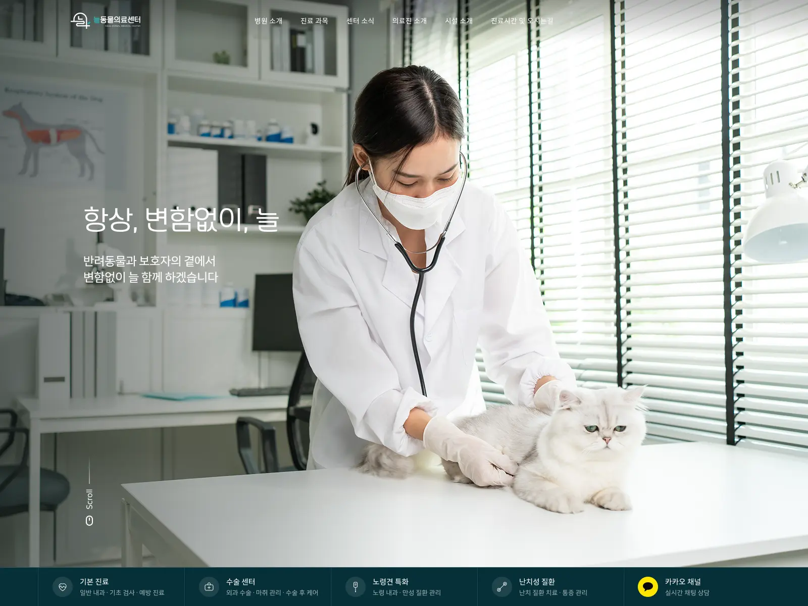 늘동물의료센터